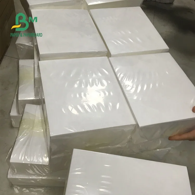 79*109cm A0 A1 Size Printing 1073d 1073b 1070d Dopunt Tyvek Paper