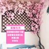 Cherry Blossom Set Meal ins-15
