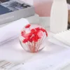 Single red "Brazilian Daisy"