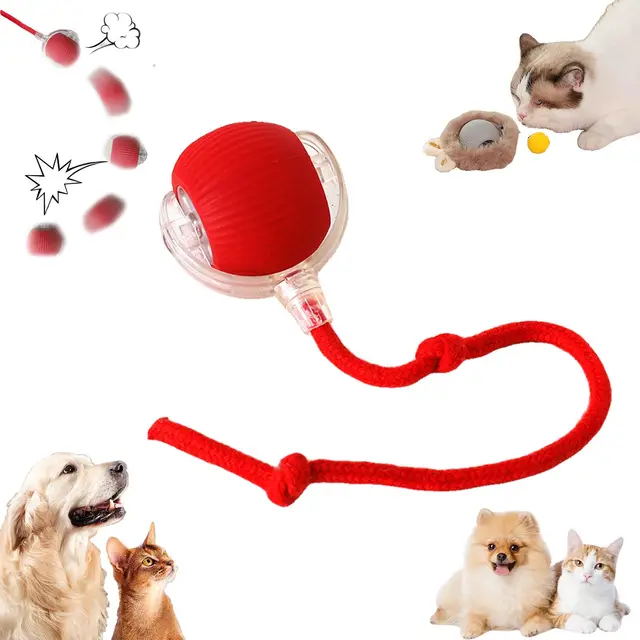 Automatic Silicone Jumping Rope Cat Toy Funny Interactive Handheld Gadget Dog Toy Bite-Resistant Boredom Relief Pet Supplies