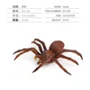 ZQ1706 Araña 50,5G