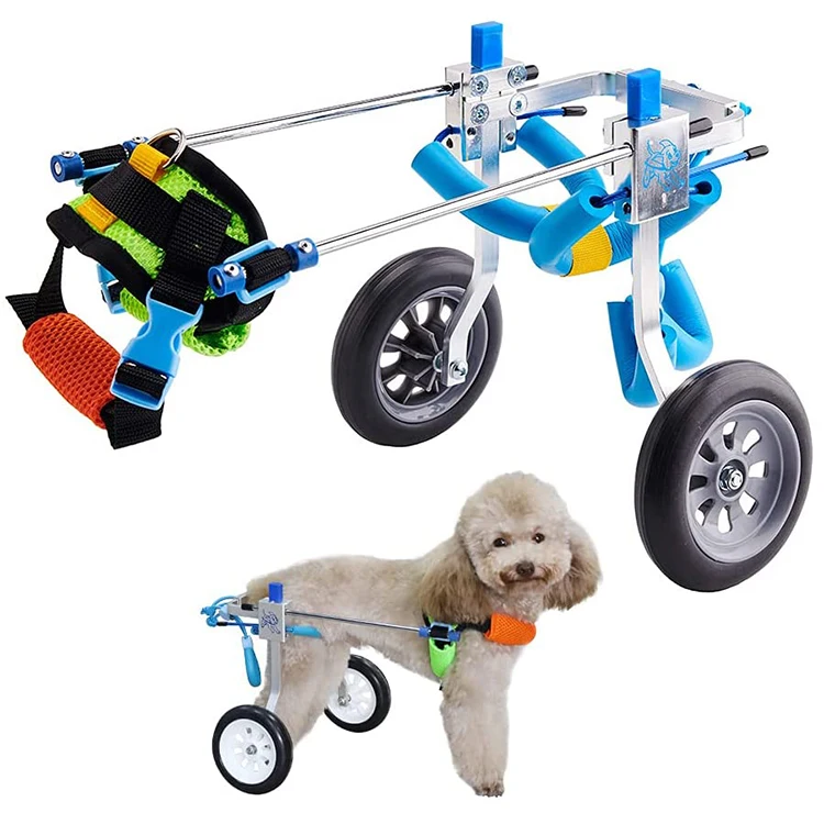 how do you train a dog to use a wheelchair