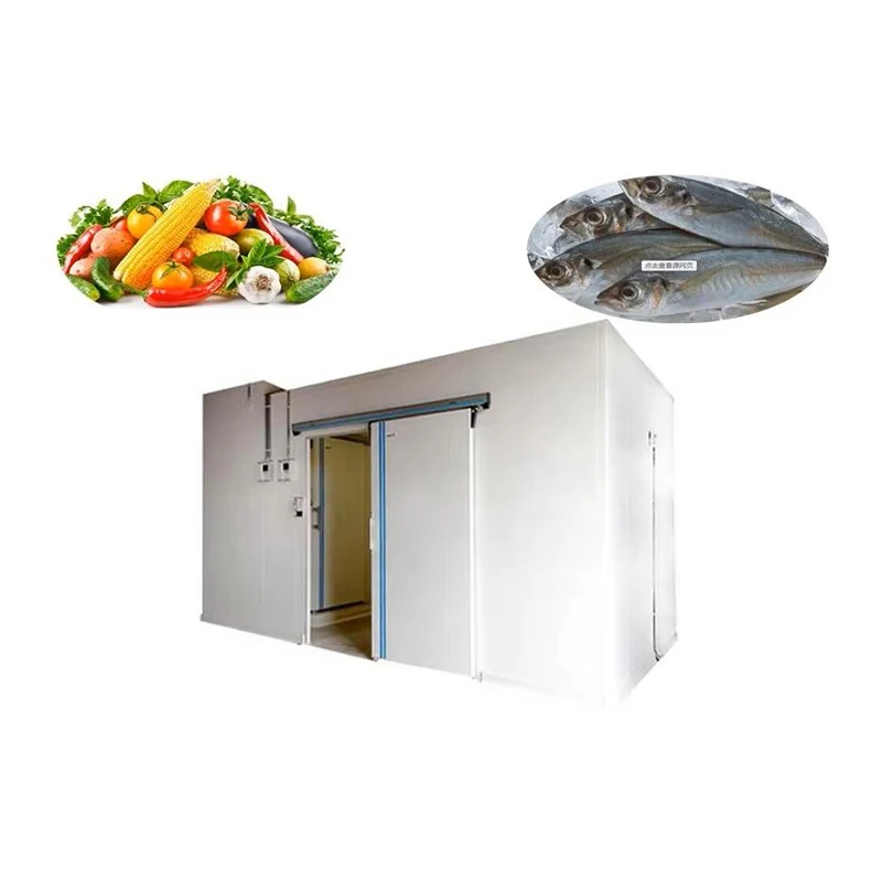High quality chicken cold room fish cold storage packaging freezer