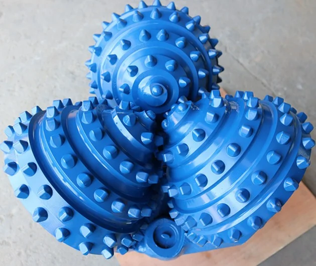 Veb-kamerada mushukni korsatdi