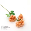 Light coral color