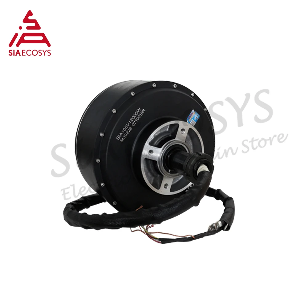 QS motor 10000W 12000W 273 Brushless DC electric Car Engine Single Shaft Wheel Hub Motor Alibaba