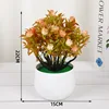 5.Rose de poulpe