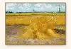Yellow1(cb5530)