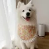 blanco2