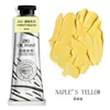 Amarillo NAPLE