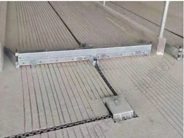 Cattle Cow Farm  Manure Scraper Automatic System High Quality Farm Use Automated Manure Removal Systems