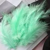 สีเขียวอ่อน