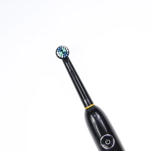 Trending Product for Wholesale Small Round Head Rotating Style Adult USB Charge Electric Tooth Brush OEM Factory