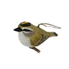 Firecrest EW23317