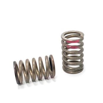 Exhaust Pipe Compression Spring