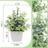 Foglie di magnolia verdi e ghiacciate