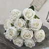 B type white (11 pieces)