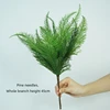pine needles