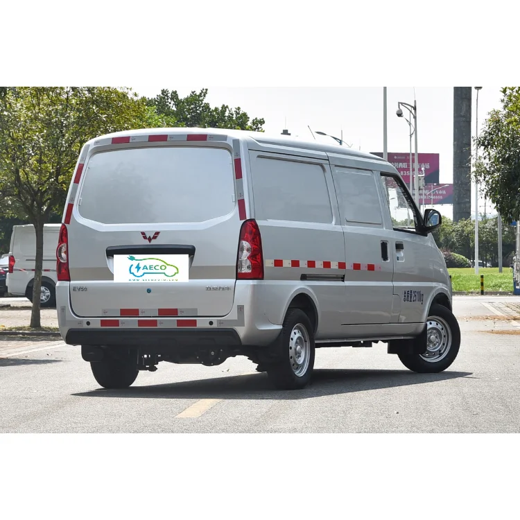 New Design Ct-nev Wuling Ev 50 Pure Electric Mini Van Cargo Trucks New Energy Vehicles Electric Minivan From China