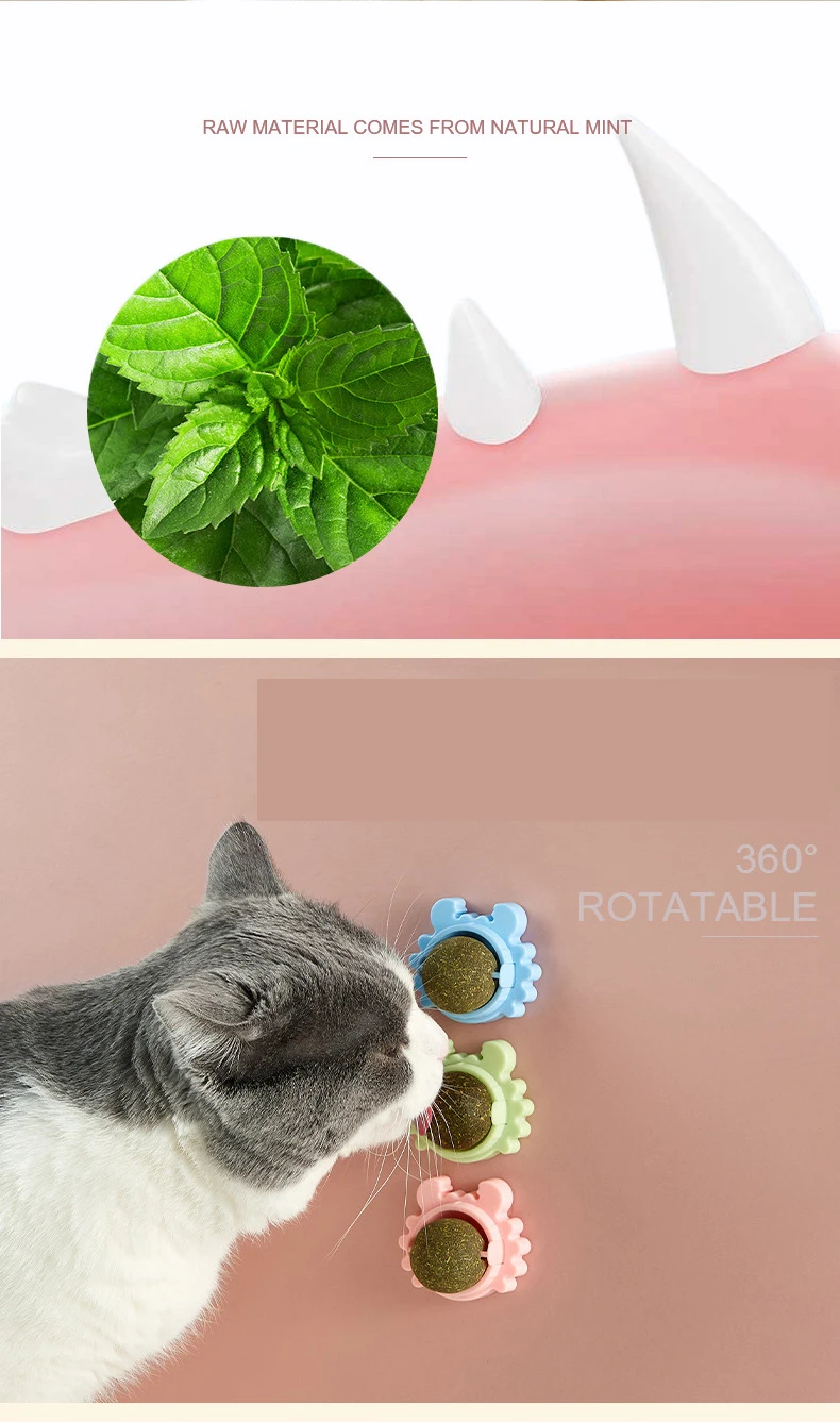 Wholesale Contain Catnip Snack Lollipop Cat Toys Natural Catnip