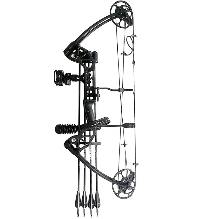 Sac à Dos DeWin Pour Arc à Poulie - Transport Confortable Arc Compound Ou Longbow | Noir Résistant