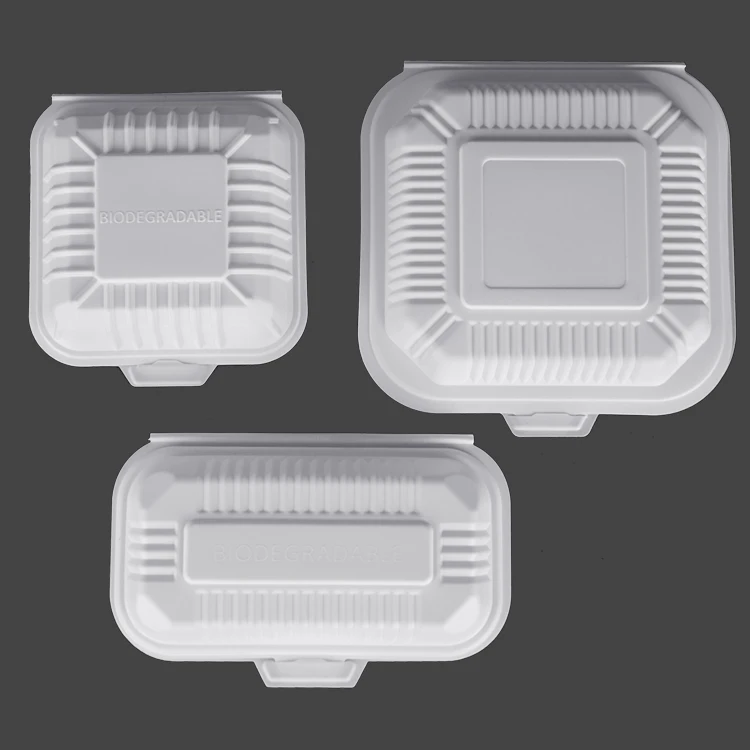 Plastic Food Containers With Lids Eco Friendly Disposable Compartment Trays