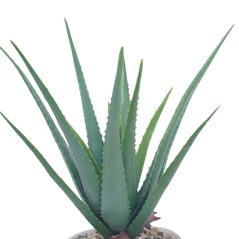 Искусственные суккуленты