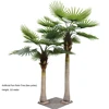árbol fan pam (dos polos)