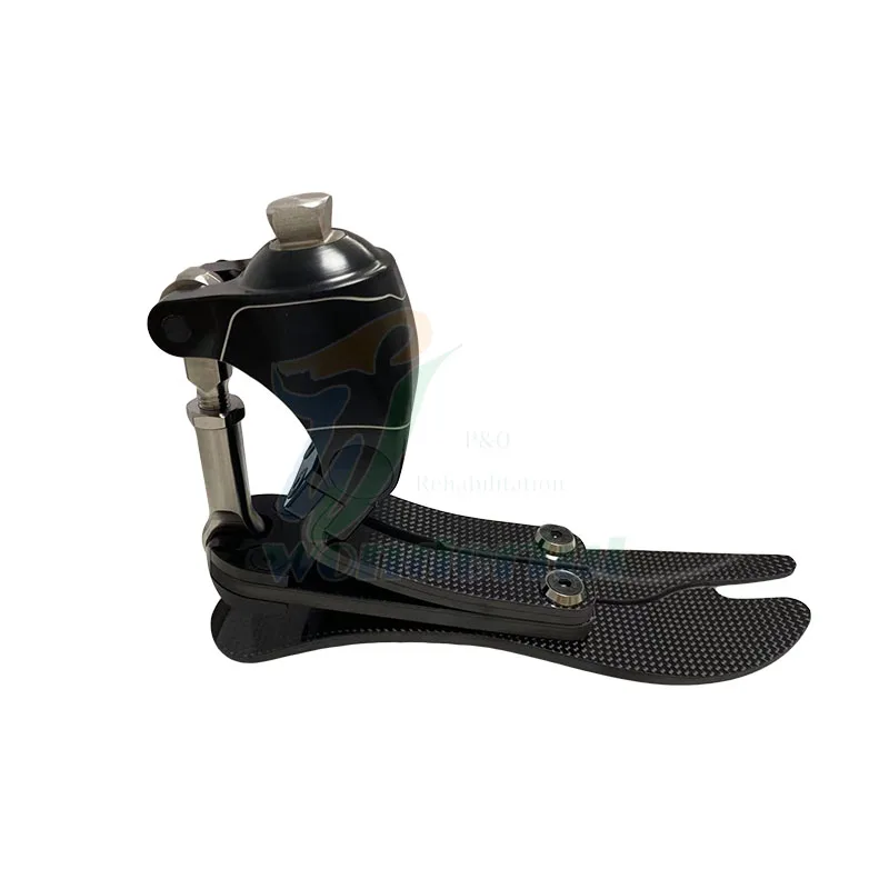 Prosthesis Foot Prosthetic Carbon Fiber Foot Prosthetic Leg Artificial  Carbon Fiber Prosthetic Foot