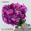 Hortensia de cinco cabezas H violeta-rosa