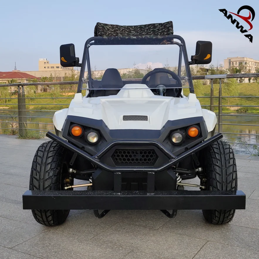 Cheap Electric Utv Utility Vehicle For Adult 2 Seater 2200w 72v 52ah