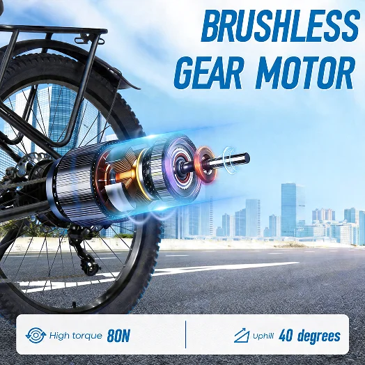 DM427 Pro ChamRider Bicicleta Elétrica 48V27Ah Potente Pronta para