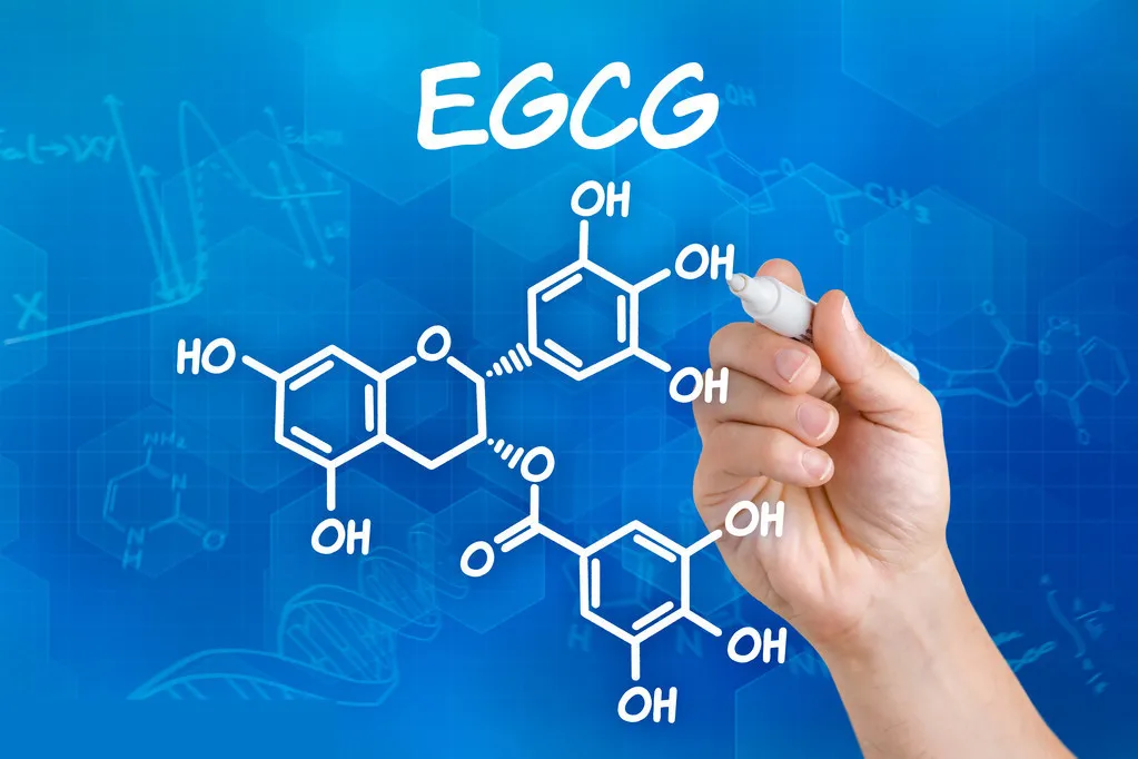 EGCG aaaa_