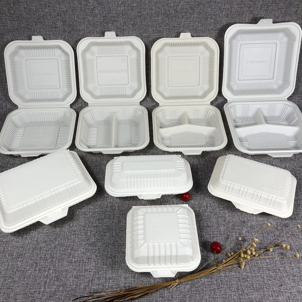 Disposable Food Containers Fast Meal Tray Biodegradable Lunch Box for Take  Away Corn Starch Container - China Biodegradable Box and Biodegradable  Container price