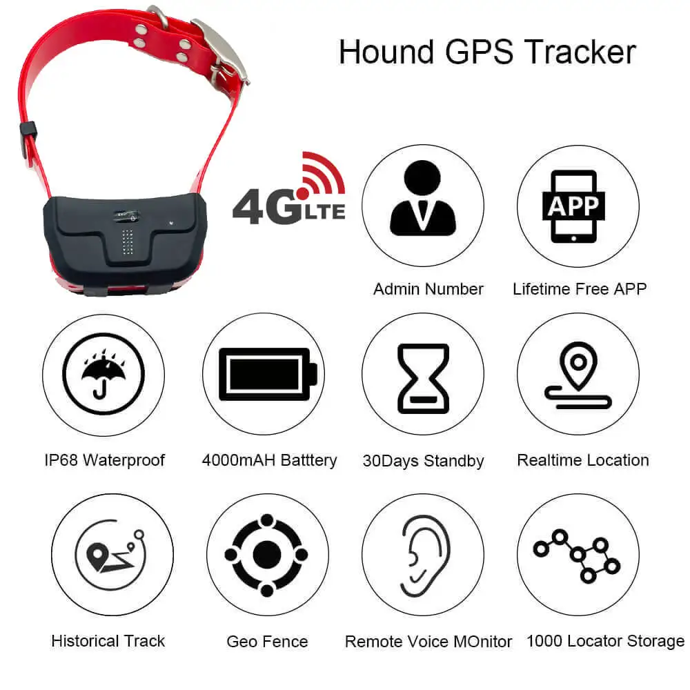 4G IK122 PRO DOG GPS  (7).jpg