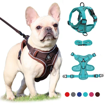 Custom Logo Padded Dog Harness Set Private Label Printing Neoprene No Pull Luxury Adjustable Soft Pet Dog Harness and Leash