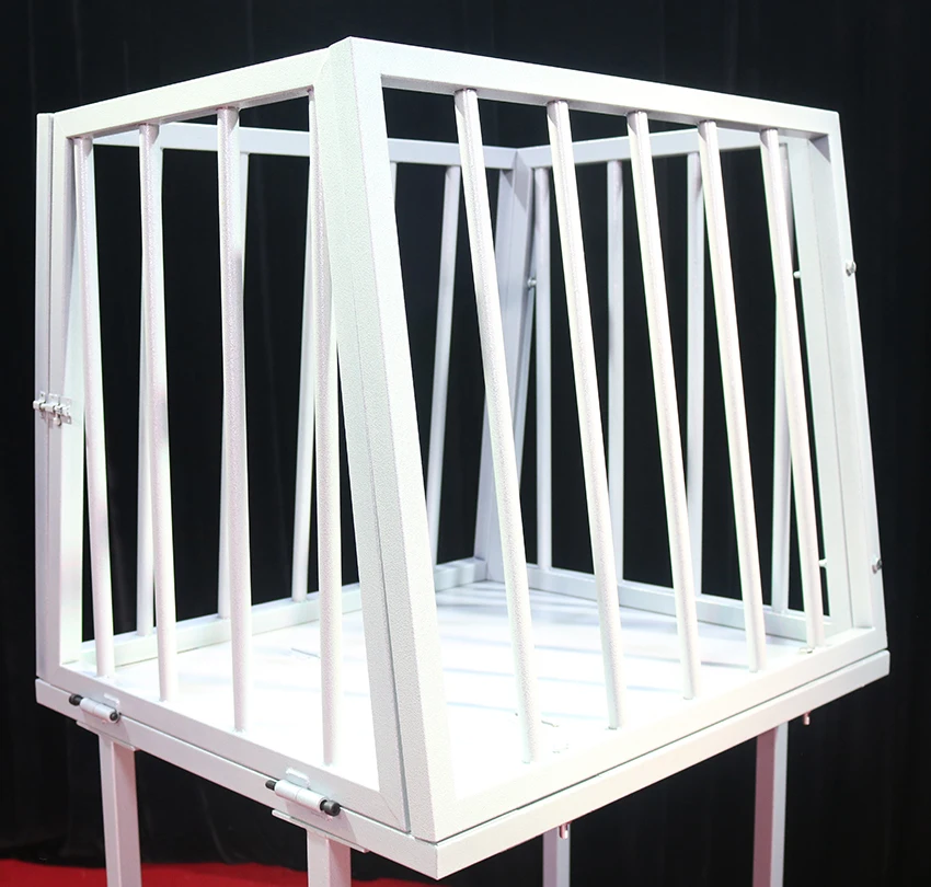 Профессиональное оборудование для сценических выступлений Desalen, волшебные фокусы для пожарной клетки, распродажа