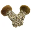 Leopard print gloves-brown