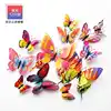 12 pezzi colorati