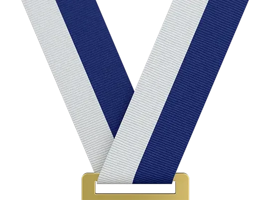 Light Gray / Navy Blue