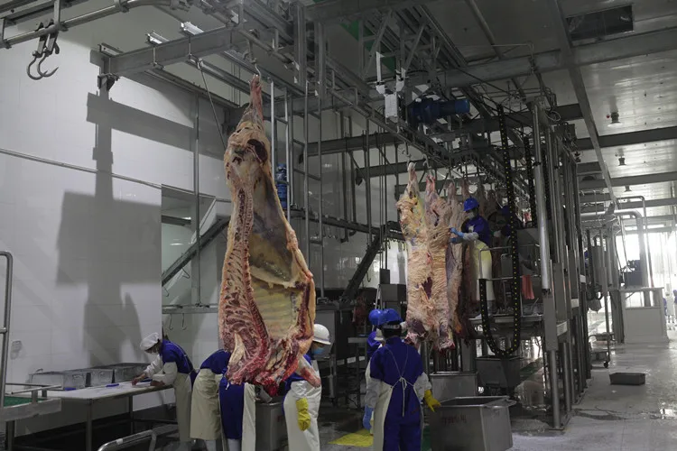 Complete pig slaughterhouse equipment for pork slaughterhouse meat processing and meat production