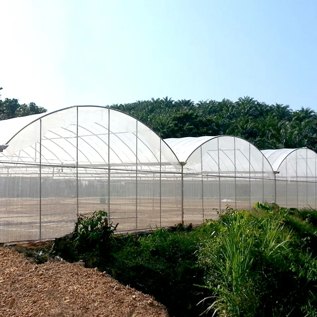 Automated Vertical Hydroponic Growing System Agriculture Equipment Used