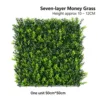 Green Seven-layer Money Grass