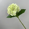 Light green 182 film hydrangea