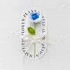 Rose-gradient blue-free transparent handbag