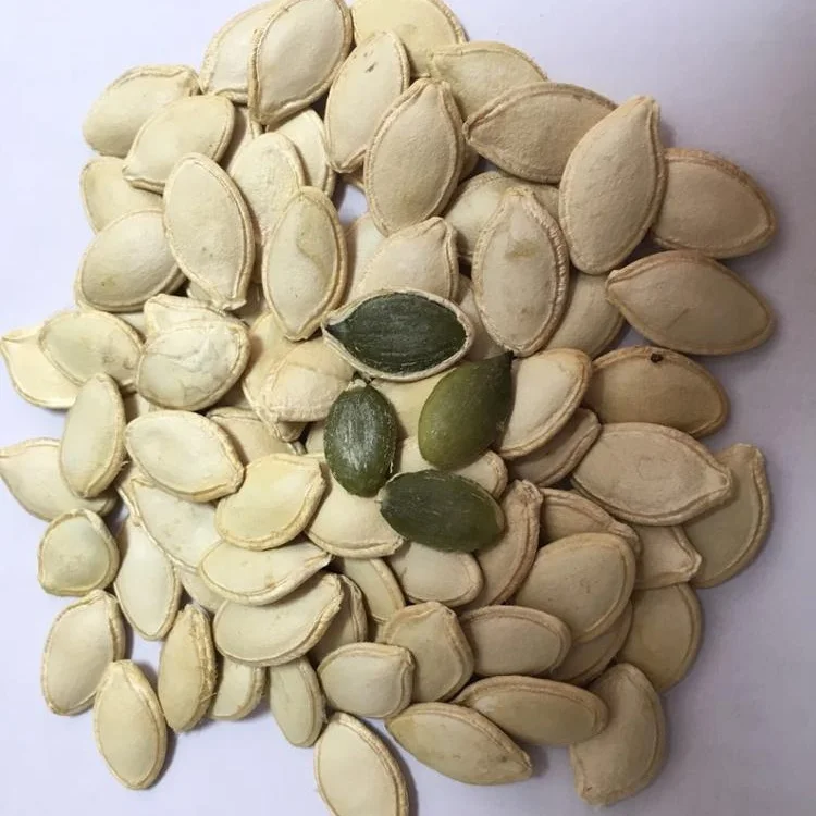 shine skin pumpkin seeds good quality size on sale