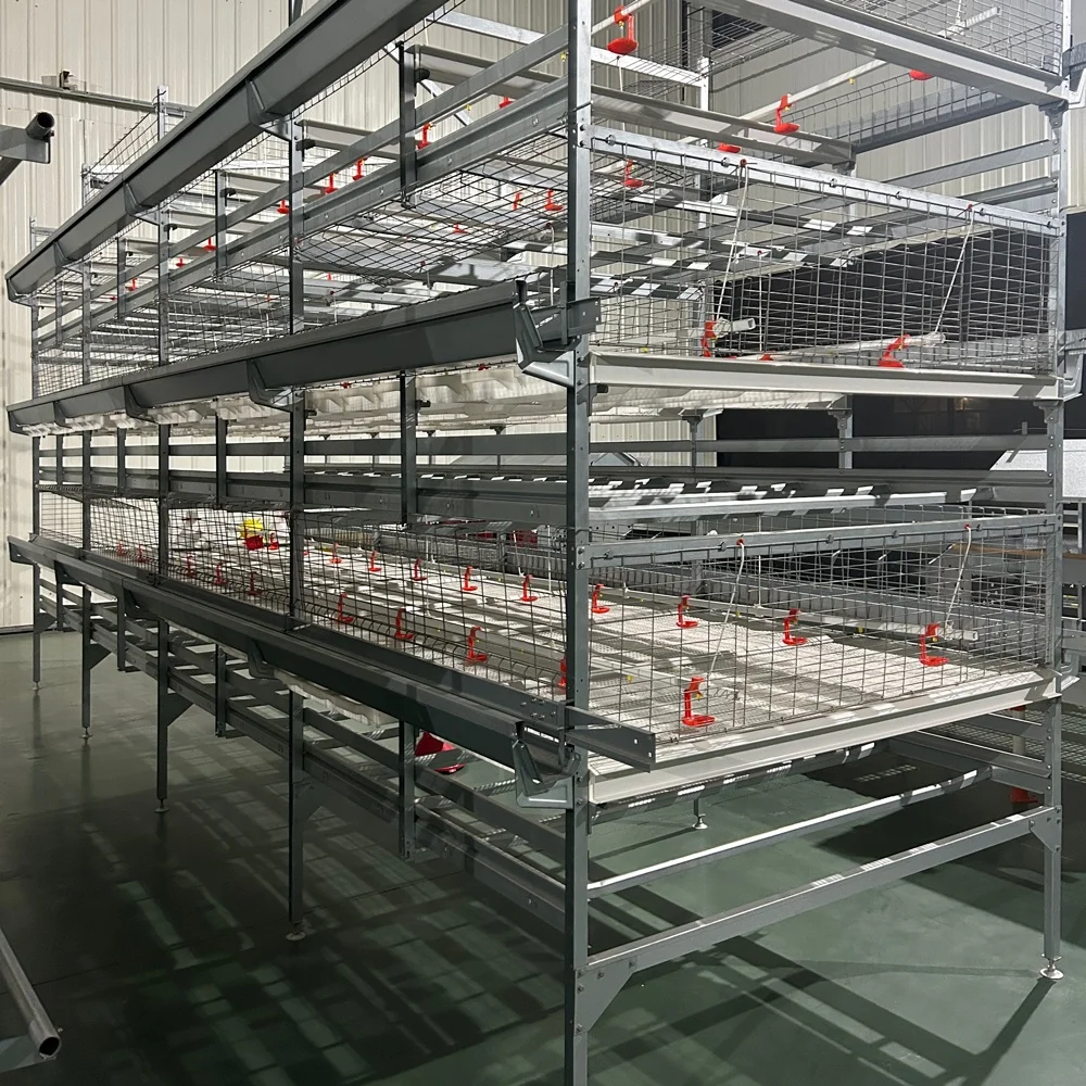 Factory Price Broiler Chicken Farm Automatic Feeder Pull-Out Slat Automated Harvesting Broiler Chicken Cages for Sale
