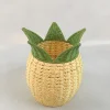 GL-0494 PC Rattan flower vase