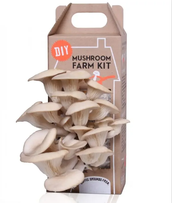 Erotik jinsiy giflar Kichkina jinsiy olatni onlayn porno video