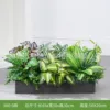 hc-X60-9 is suitable for 60cm flower boxes